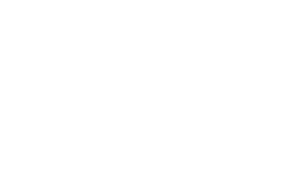 RICS Regulated