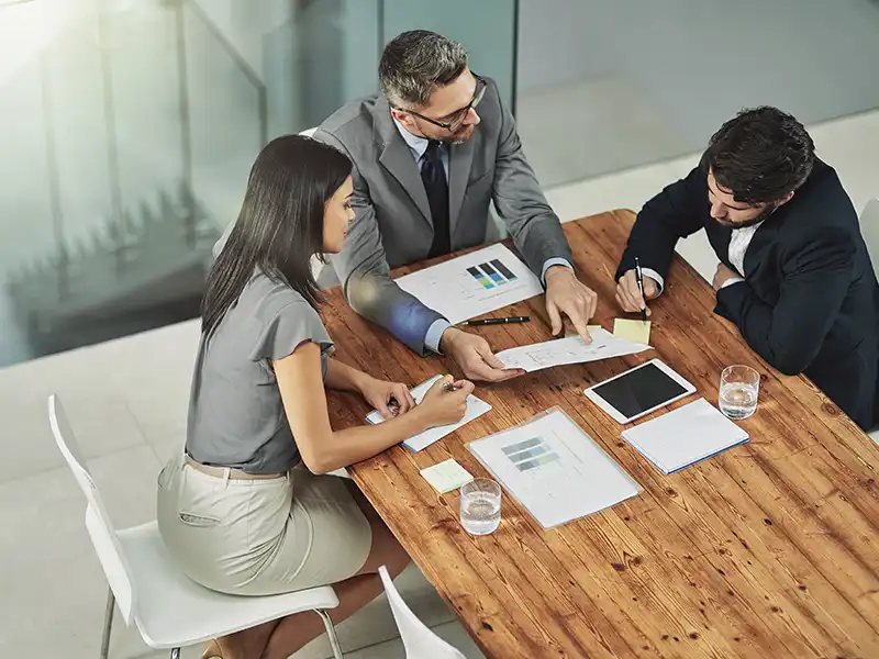 Strategic Consultancy